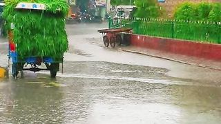 Rain enjoy