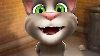 Funny animal cats video jokes sundhi
