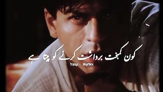 Shahrukh khan drunk