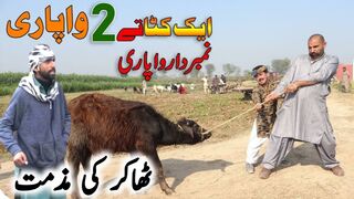 Joni ne Wapari ko Thakur ka bachra bech diya | New Top Funny | Must Watch Top New Comedy Video 2023