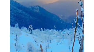 Snow fall