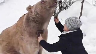 that's the friendship between a bear and a man.