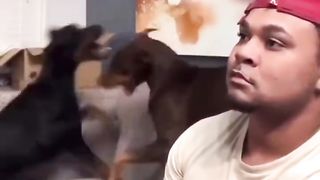 Funny Video