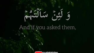 Tilawat e Quran