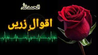 Qoutes