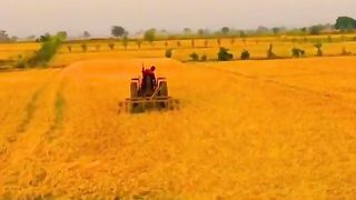 Beautiful punjab