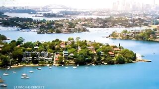 Best cricket video