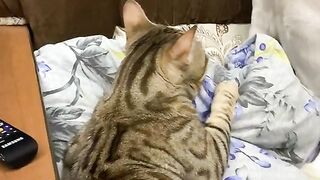 they didn't share the pillow.