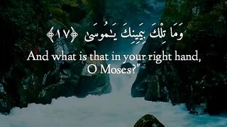 Surah Taha: 17-23|Heart tuching video|English Translation|