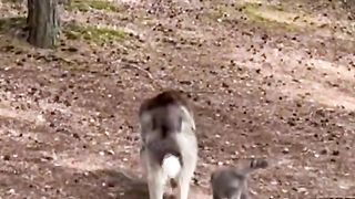 family on a walk.