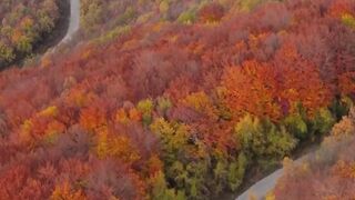Beautiful Roads - Captivating Landscapes