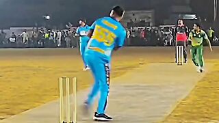 Crickets most beautiful videos