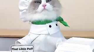 Puff knows better