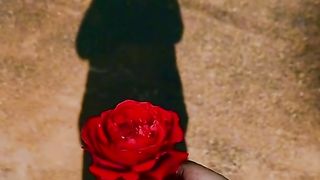 Heartbroken poetry
