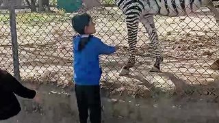 Mini vlog part 3
