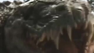Amazing video