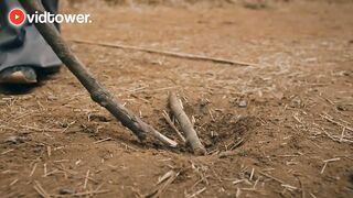 جس ملک میں آزادی نہ ہو تو ایسا ہوتا ہے with out law in the country Must watch