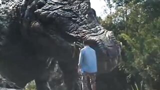 Amazing video