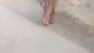 Funny Clip