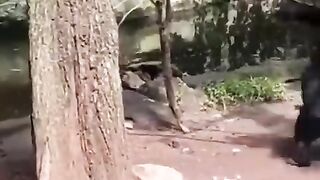FUNNY MONKEYS