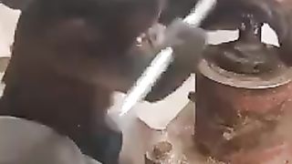 Monkey working Funny video