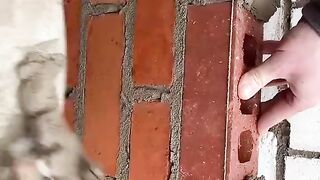 Constraction work
