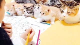 Cat in School????????????