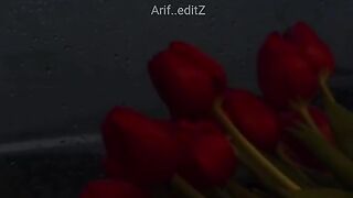 Islamic video