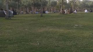 The gardon is very nice my frind come to see the pepale