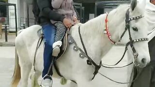 Horse Riding