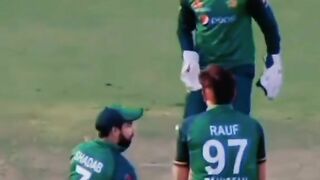 Cricket