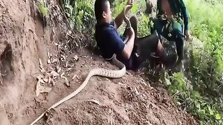 4 Brave Hunters Confront The World's 30 Most Ferocious Dragon Snakes