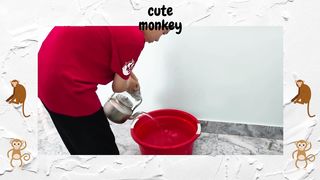 Cute Monkey