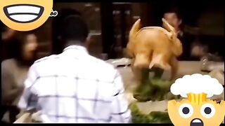 Best of the funny Prank for you || Follow for more videos.