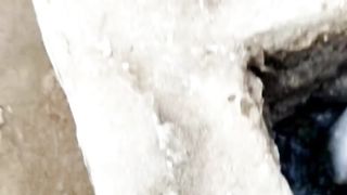 Birds rescue