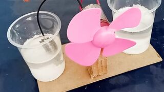 Salt water electric generator Science Experiment