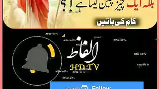 Beautiful Quotes In Urdu ✍️ #urduquotes #ytshorts #viralshort #shorts #short ????????????.