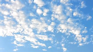 Gold View in Sky | #naturevideo| #shortclip