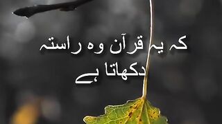 Subhan Allah #quran #dua #allah #hadith #hadeeth
