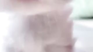 My Angel | My Beautiful Cat #fyp #viral #cat #animals