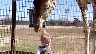 Animals lover