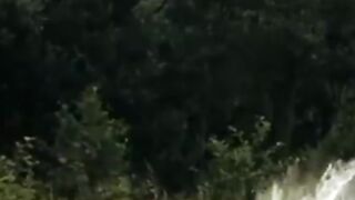 Eagle catching fish in the river