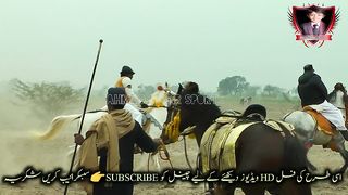 #horses#riding#vedio#horses of runing