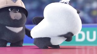 very cute panda