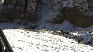 hunting snow coak