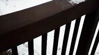 Snow fall ❤ Snow all around my home ❤