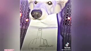 Coldest Moments Of All Time ???? TikTok Compilation ???? Sigma Moments #27