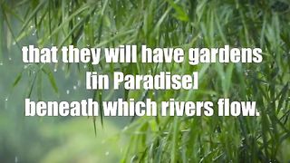 Surah Al-Baqarah - سورة البقرہ  Verse 25