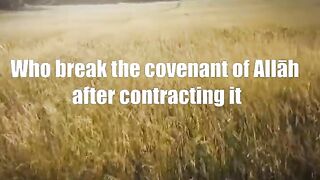 Surah Al-Baqarah - سورة البقرہ  Verse 27 - 28  Quran Chapter 2  #shorts #