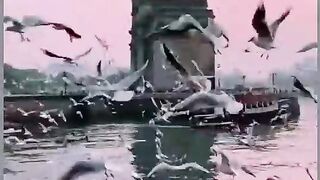 Sad New English viral song ringtone best